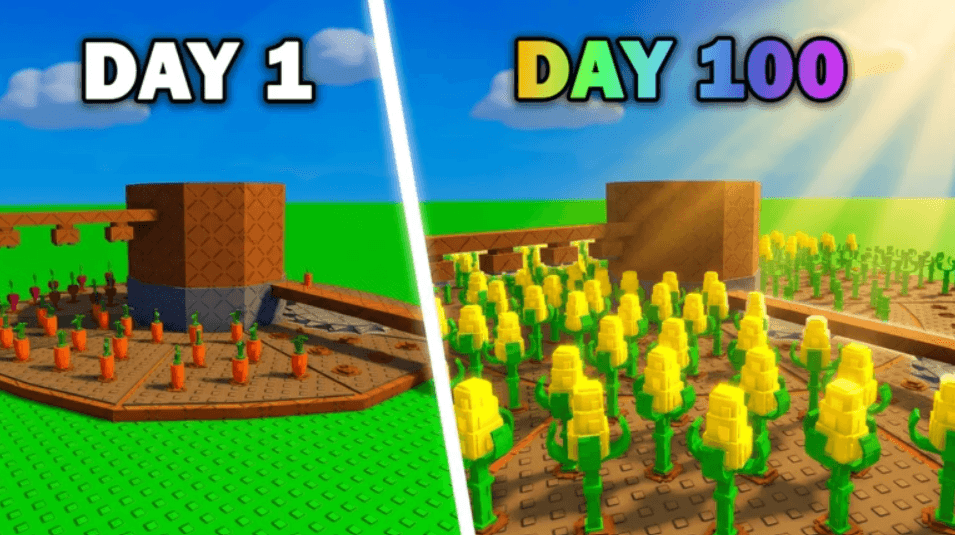 Build A Ring Farm
